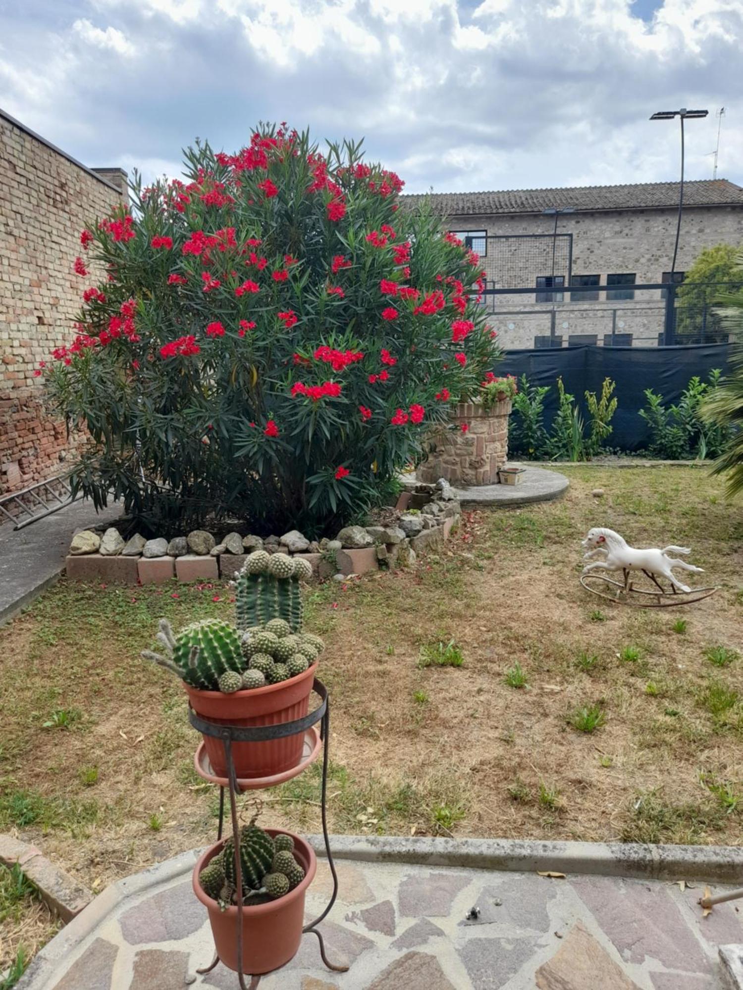 Ferienwohnung La Maison De Nonni Buonconvento Exterior foto